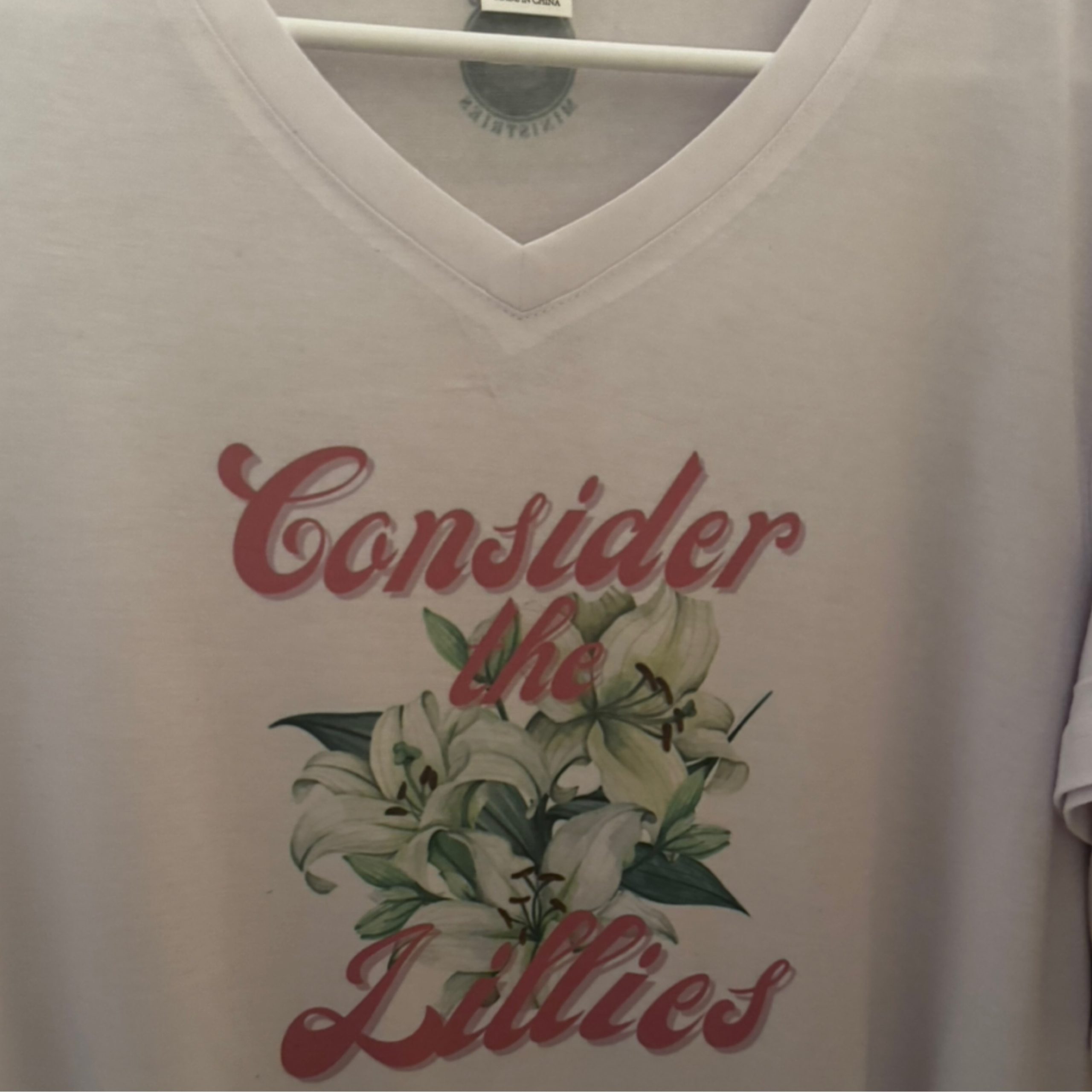 Consider the Lillies